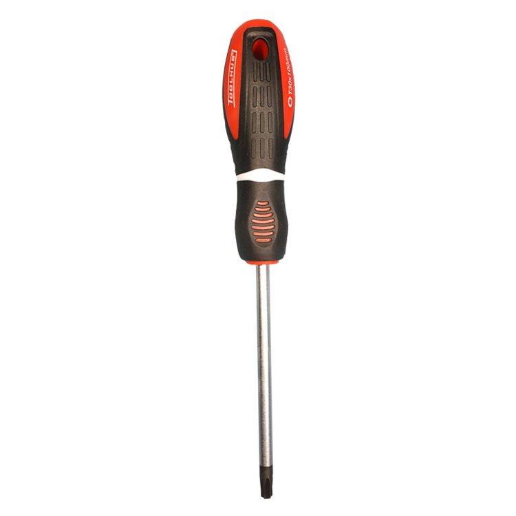 10275 | DESTORNILLADOR TORX T30 X 100MM