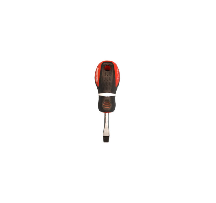 10256 | DESTORNILLADOR PLANO 6 X 38MM