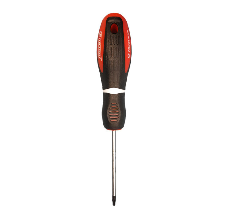 10269 | DESTORNILLADOR TORX T8 X 60MM