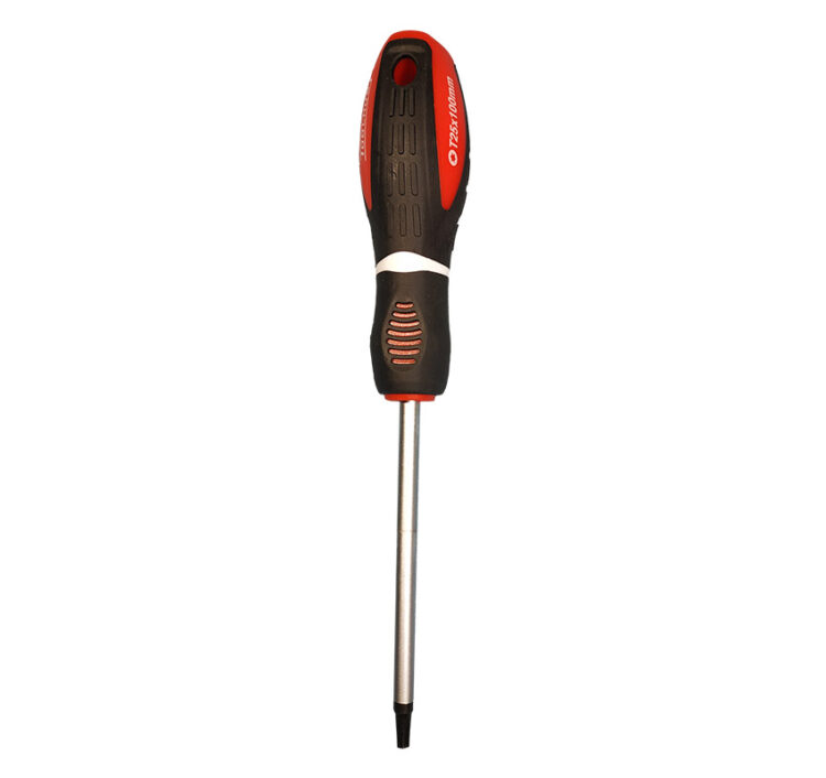 10273 | DESTORNILLADOR TORX T25 X 100MM